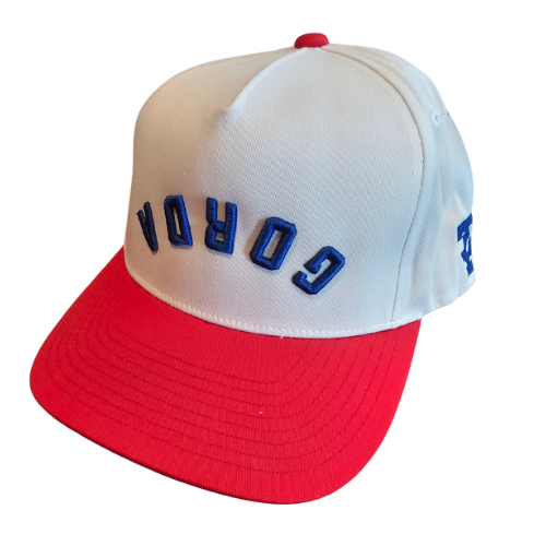 Backwards Gorda 2-Tone High Frame Snapback hat